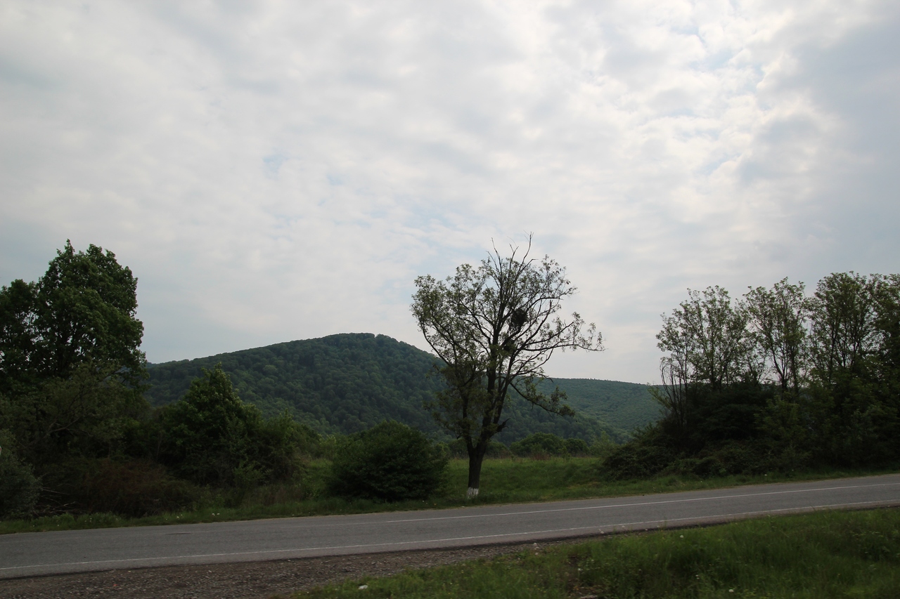 IMG_1671.JPG