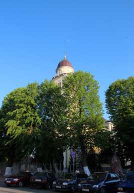 IMG_1505.JPG