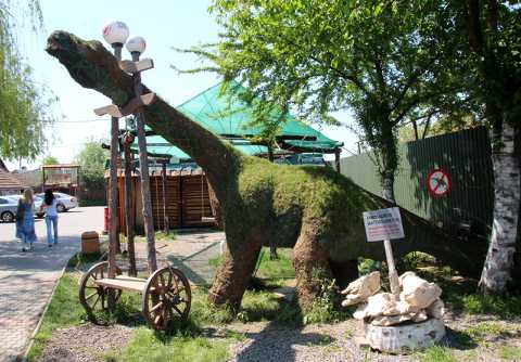 IMG_1523.JPG
