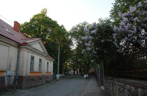 IMG_1588.JPG