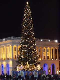 P1010038.jpg