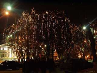 P1010048.jpg
