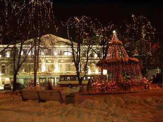 P1010050.jpg