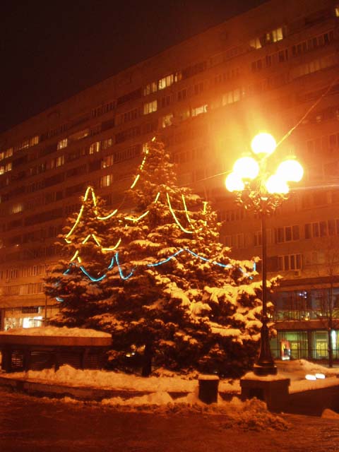 P1010015.jpg