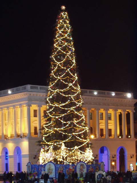 P1010039.jpg