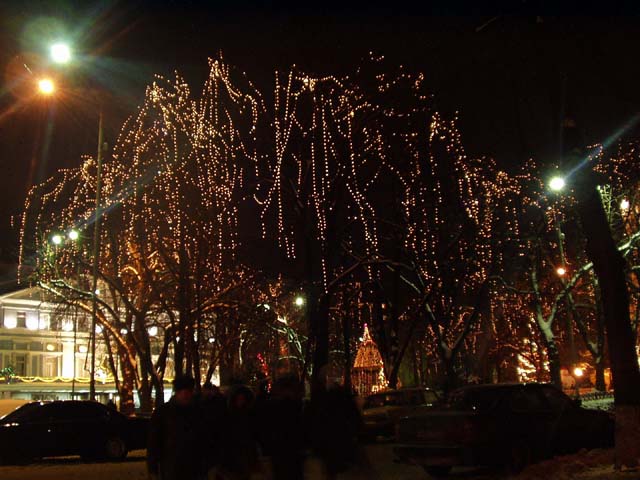 P1010048.jpg