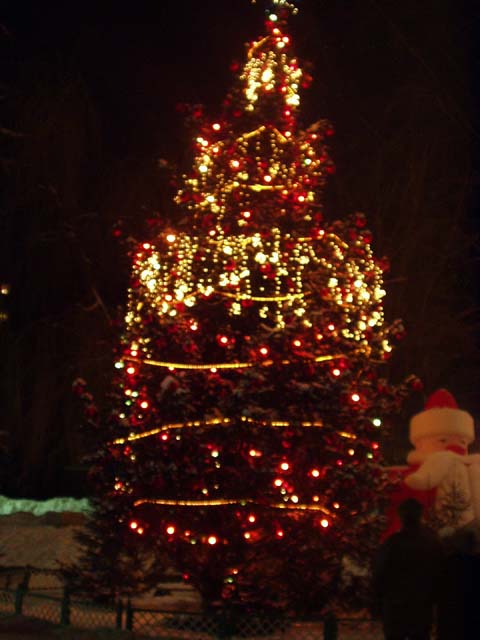 P1010053.jpg