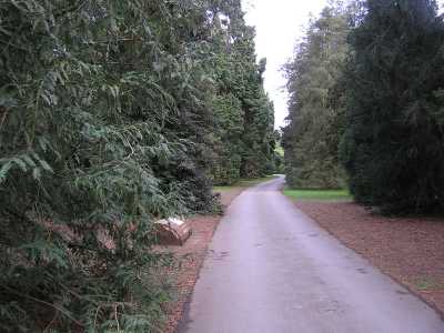 p5020138.jpg