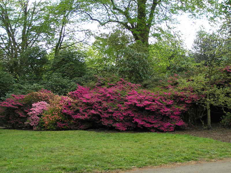 p5020112.jpg