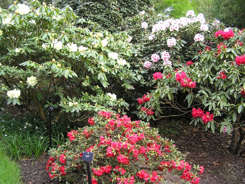 p5020117.jpg