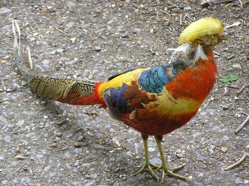 p5020129.jpg