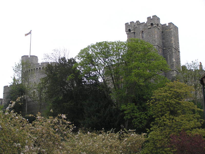 p4300015.jpg