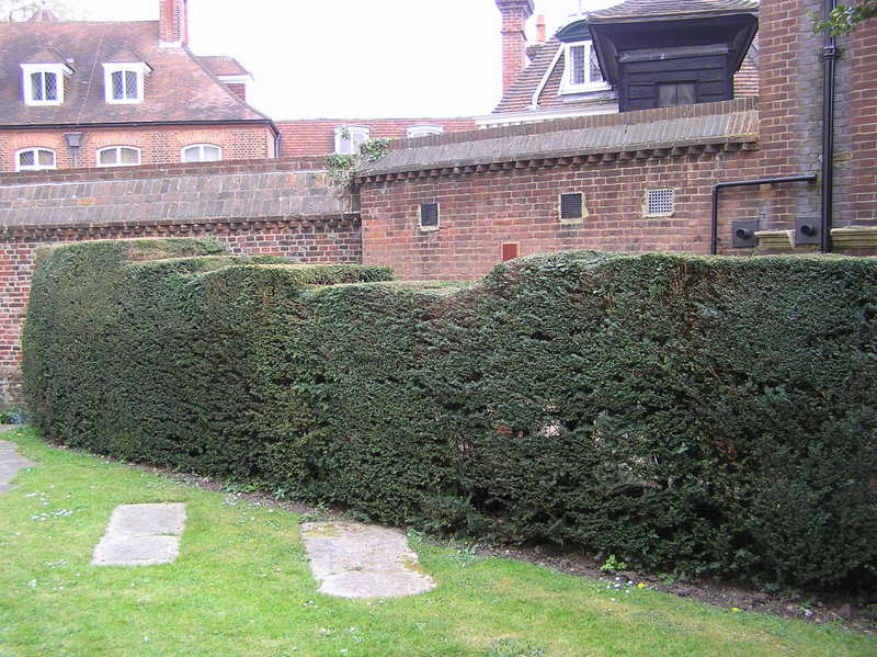 p4300038.jpg