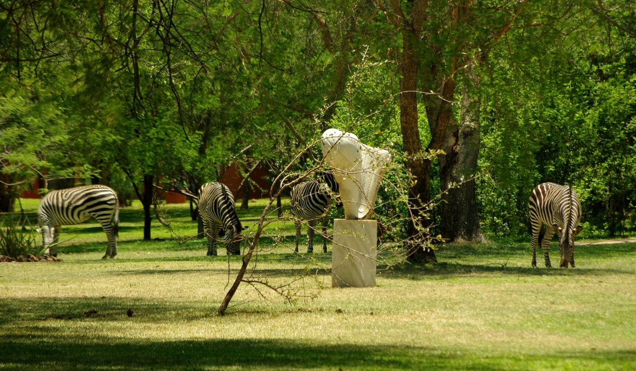 IMGP7465.JPG