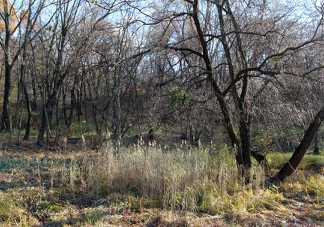 IMG_0111.jpg