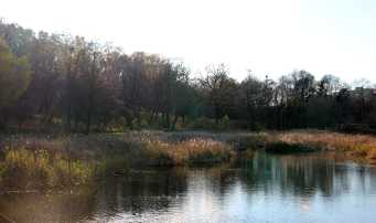 IMG_0116.jpg