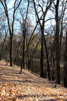 IMG_0127.jpg