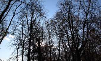 IMG_0142.jpg