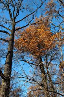 IMG_0148.jpg