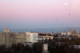 IMG_0153.jpg